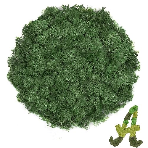 3.5 OZ Dark Green Reindeer Moss, Preserved Moss for Plants, Moss Decor, Green Moss for Crafts, Moss for Potted Plants, Craft Decorative Moss Decor, Dried Moss - color: Dark Green, size: 3.5 OZ