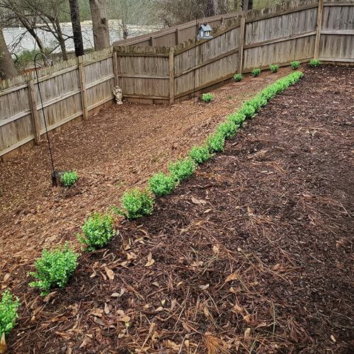 8 Bundles UV Resistant & Non-Fading Artificial Boxwood Shrubs - Fake Greenery Plants for Outdoor Indoor, Farmhouse, Garden, Porch, Patio, Wedding Decoration