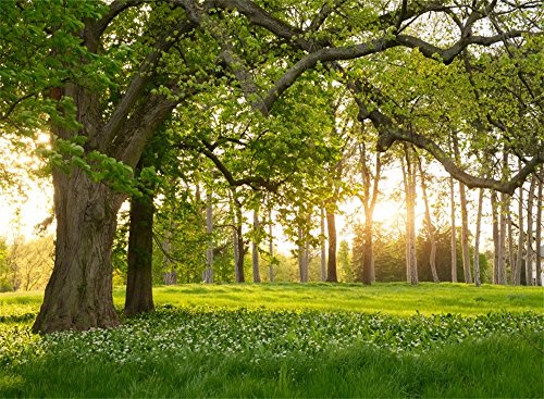 Leowefowa 7X5FT Spring Backdrop Rural Forest Trees Backdrops for Photography Blooming Flowers Green Grassland Nature Vinyl Photo Background Kids Adults Outdoor Travel Portraits Studio Props - size: 7x5ft