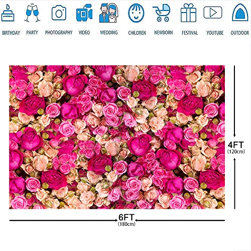 Ticuenicoa 6x4ft Pink Red Rose Flowers Photography Backdrop Valentine's Day Photo Background Baby Shower Wedding Birthday Decoration Bridal Shower Wedding Blossoms Roses Wall Art Photo Booth Props - size: 6x4ft