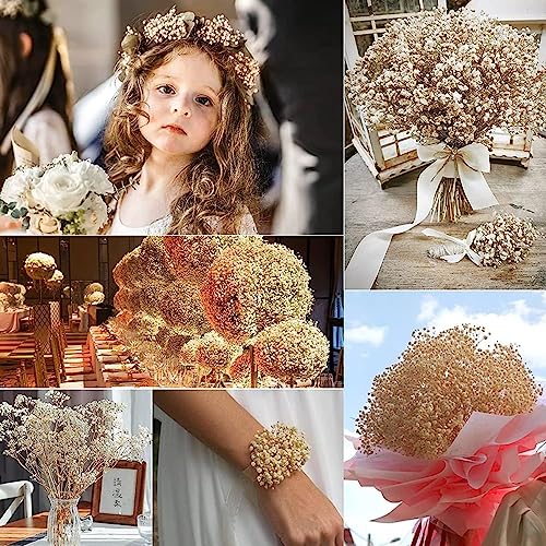 17.2 Inch Dried Flowers Baby's Breath Bouquet - 2500+ Dry Flowers,Natural Gypsophila Branches for Home Decor, Wedding, Table Decor, DIY Wreath Floral, Dry Flowers Bulk for Vase (White) - color: White