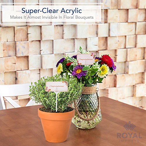 Royal Imports 9" Floral Picks, Flower Sticks, Cardettes Cardholder Forks, for Arrangement Basket, Gift Bouquet, Centerpiece Cake Card, Photo or Table Tags, 100 Pcs - size: 9"