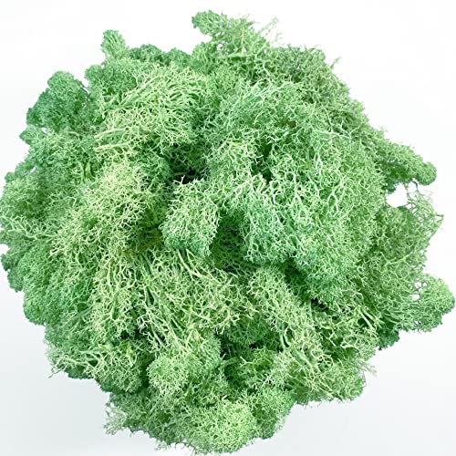 Moss Preserved Moss - Natural Fresh Green for Crafts, Arts, Floral Projects, Wall & Table Decor, Wedding Centerpieces, Garden, Artificial Terrariums - Mint-Green 3.5OZ - color: Mint-green, size: 3.5oz