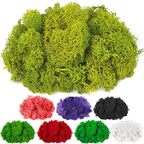CCINEE Moss Preserved, 4 OZ Fake Green Reindeer Moss for Potted Plants for Craft Arts Floral Wall Decor Wedding Centerpieces Fairy Garden Artificial Terrariums Decoration for Christmas(Chartreuse) - color: Chartreuse