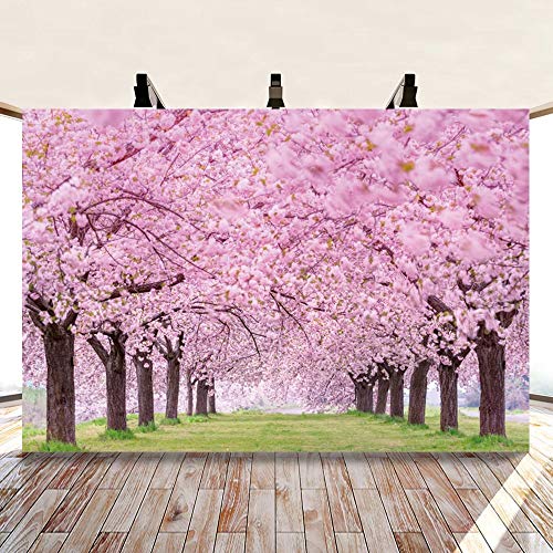 Cherry Blossom Flowers Backdrop for Photography 10x7ft Spring Scenery Cherry Blossom Wedding Bridal Shower Background Girls Women Portrait Themed Party Decor Picnic Banner Studio Props Vinyl - size: 10x7ft