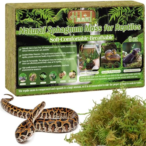 Halatool 9OZ Natural Sphagnum Moss for Reptiles- 14QT Green Moss for Terrarium Plants Long Fiber Reptile Moss for Leopard Gecko Snake Hamsters Tortoises Frogs Lizards Salamanders - size: 9OZ