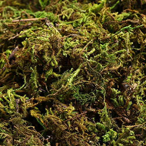 IMIKEYA Artificial Moss, 60g Fake Green Moss for Crafts, Potted Plants, Fairy Garden Decor, Wedding Table Centerpieces, Soil Cover for Indoor Planters and Terrariums