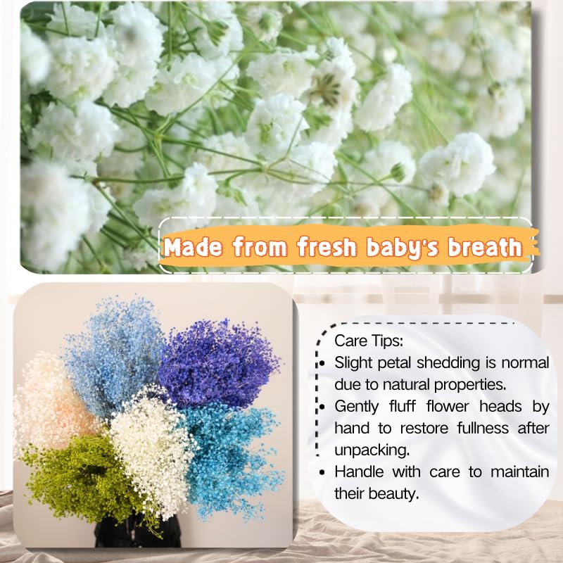 6200+ Ivory White Dried Baby's Breath Flowers - 100% Real Natural Gypsophila Mini Bouquet Bulk for Wedding Floral Arrangement Boho Home Decor, DIY Crafts,Candle Making, Birthday Party Decorations