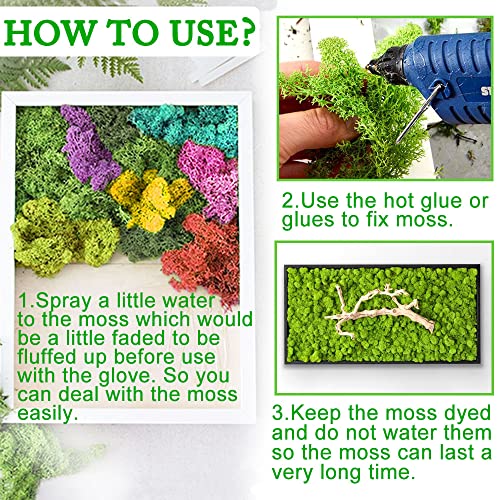 Preserved Moss for Crafts Blue Reindeer Moss for Potted Plants, Craft Decorative Moss Decor for Wall Art, Dried Moss(7oz, Blue) - color: Blue, size: 7 OZ