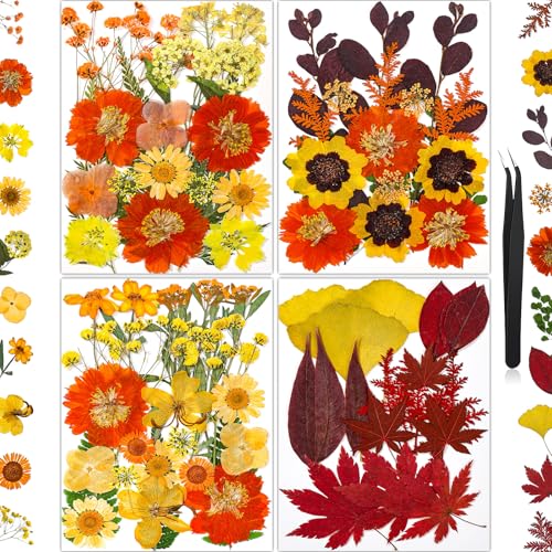 85Pcs Dried Flowers for Crafts, Natural Pressed Flowers for Crafts Real Dried Pressed Flowers Dry Leaves in Orange & Yellow for Resin, DIY Art, Scrapbook, Jewelry, Candle & Soap Making w/ Tweezer - color: Orange & Yellow 85pcs