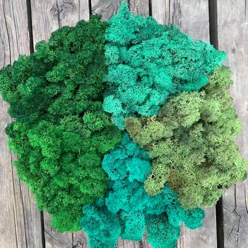 Preserved Reindeer Moss Natural Green DIY Kit Gardenning Art Wall Decor Florist Decor Easter Table Decor Wedding - color: Style-29, size: 1 lb