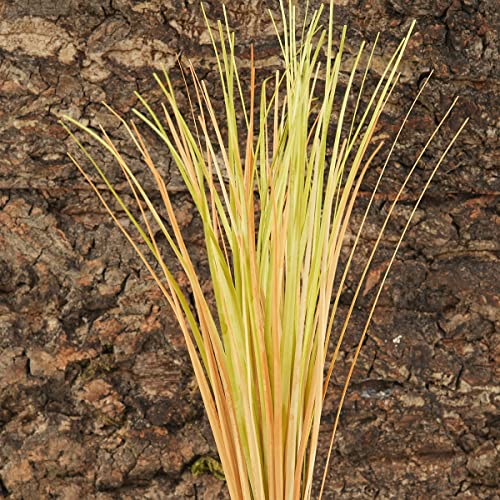 Fake Desert Dry Grass, Reptile Plants for Terrarium, Bearded Dragon Tank Accessories Habitat Decor fit Crested Gecko Leopard Lizard Chameleon Ball Python Snake - color: F-fake Desert Dry Grass