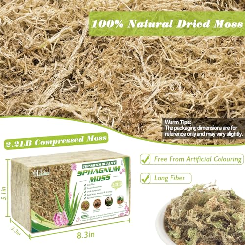 Halatool 2.2LBS Natural Sphagnum Moss for Plants 40 QT Premium Peat Moss Dried Long Fiber Orchid Moss for Orchid Repotting Carnivorous Succulents Garden Flowers Crafts Terrarium and Reptiles - size: 40 qt (2.2 lbs)