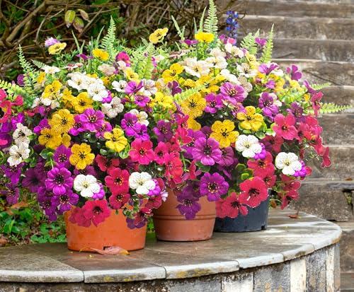 Artificial Fake Flowers for Outdoors,16 Bundles Artificial Plants Outdoor Faux Plants UV Resistant, Realistic Faux Silk Flower 6 Colors Spring Summer Decor for Porch Outside Planter Window Box - color: Redpurple-white, size: 16