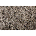 1 lb Bag Preserved Natural Spanish Moss (0905301703) - color: Natural