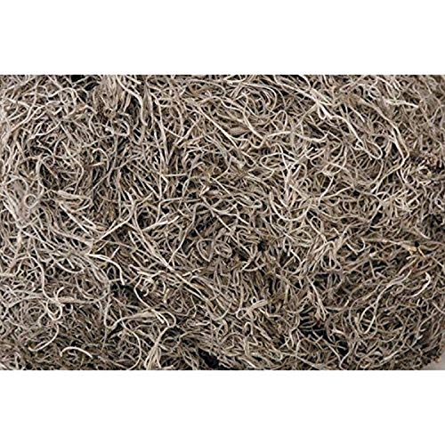 1 lb Bag Preserved Natural Spanish Moss (0905301703) - color: Natural