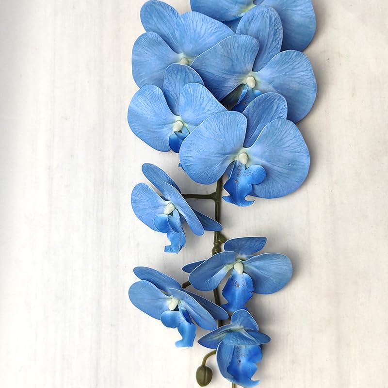 Artificial Phalaenopsis 5 Pcs Artificial Flowers Artificial Orchid Flowers Stem Fake Plants for Décor (Blue) - color: Blue