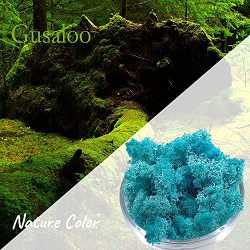Moss Preserved Moss Natural Fresh Green Moss for Craft Arts Floral Project Wall Decor Table Decor Wedding Centerpieces Garden Artificial Terrariums Decoration -Water Blue 3.5OZ - color: Water-blue, size: 3.5oz