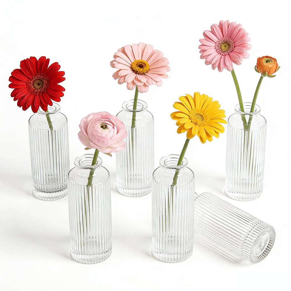 6 Pack Glass Bud Vase Set, Small Flower Vase Set Bud Vases for Wedding Centerpiece Table Decor, Vintage Small Vases for Room Home Dining Party Table Center Decor (Clear Set, 6 Pack) - color: Clear Set, size: 6 Pack
