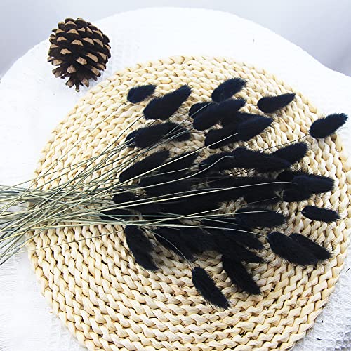 60pcs Dried Bunny Tails Flowers Black Pampas Grass Natural Dried Floral Arrangement Dry Flowers for Halloween Christmas Boho Decor Home Wedding DIY Craft Decoration (16")… - color: Black