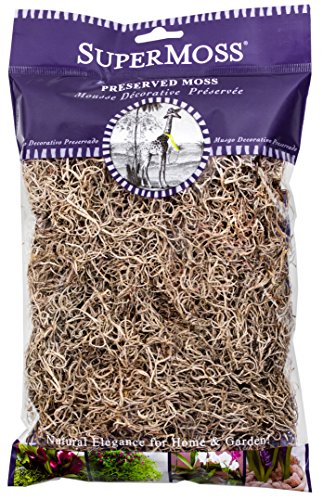 SuperMoss (26901) Spanish Moss Dried – Decorative Moss for Crafts, Potted Plants, Fairy Gardens, Vase Filler, Floral Arrangements & Indoor/Outdoor Garden Projects, 120 cu in, Natural - size: 80.75 in3 Bag (Appx. 2oz), style: Modern