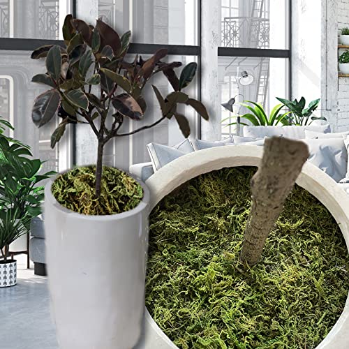 18 OZ Artificial Moss for Potted Plants & Fake Plants - Faux Decorative Moss for Planters & Craft