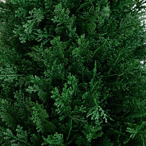 Nearly Natural 3ft. UV Resistant Artificial Cedar Plant with Integrated Ground Stake (Indoor/Outdoor) - Set of 2 - size: 3ft.