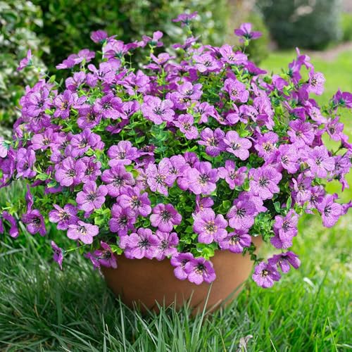 florisso Artificial Flowers for Outdoors Daisy 12 Bundles for Home Decoration, Faux Flower Fake Plants Outside Decoration with Eucalyptus UV Resistant for Planter Porch Patio Yard Garden Purple - color: Purple