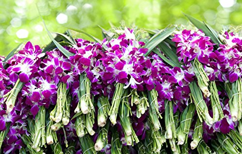 KaBloom - The Ultimate Orchid Bouquet Of Exotic 20 Purple Orchids with Vase - Fresh Flowers for Birthday, Valentine's & Mother's Day