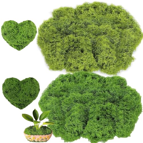 Aiareozy 3.5oz Fake Moss, Fake Green Moss for Potted Plants, Artificial Moss for Crafts, Green Moss for Decorating, Moss Decor Artificial, Faux Moss for Fairy Garden Floral Wedding (100g)