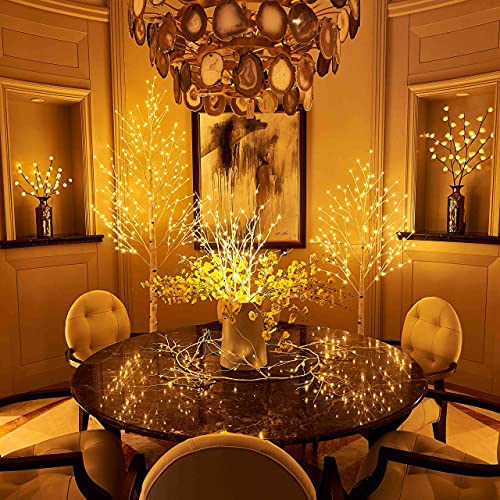 Hairui Lighted Birch Branches Plug in with Timer 30IN 150 LED Fairy Lights, White Willow Branch Lights for Christmas Fireplace Room Vase Decoration Indoor Outdoor Use (Vase Excluded) - style: White Birch+Warm White 1set
