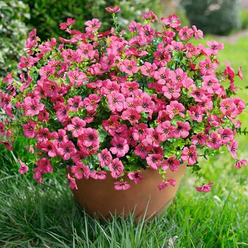 Artificial Fake Plants Flowers for Outdoor Outside Summer Decoration, 12 Bundles Faux Silk Hotpink Daisy UV Resistant Realistic for Porch Patio Home Window Box Yard Garden Planter - color: Hotpink