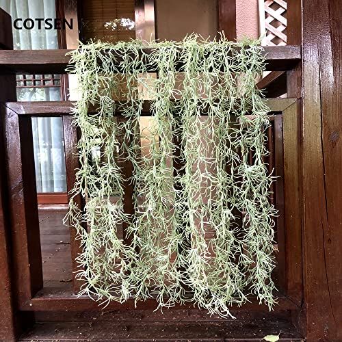 COTSEN 5 Pack Spanish Moss Faux Greenery Moss Fake Vines Moss Hanging Plants for Potted Plants Artificial Hanging Moss Garland Used for Family Indoor and Outdoor Gardens Decoration