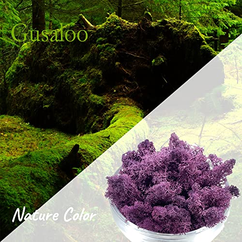 Moss Preserved Moss Natural Fresh Green Moss for Craft Arts Floral Project Wall Decor Table Decor Wedding Centerpieces Garden Artificial Terrariums Decoration- Purple 3.5OZ - color: Purple01, size: 3.5oz