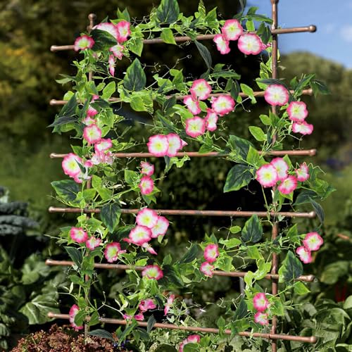 CISDUEO 2 Pcs Artificial Vines Silk Morning Glory Vines for Outdoor 15Feet Hanging Plants Garland Pink Fake Green Plant Morning Glories for Home Decor Wall Fence Stairway Wedding Hanging Baskets - color: Pink