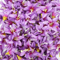 20 Pcs Artificial Lily Flower Head, Dark Purple | Fake Flowers Heads, Simulation Small Lily, DIY Handmade, Wedding Photography Party Home Decoration - color: Dark Purple