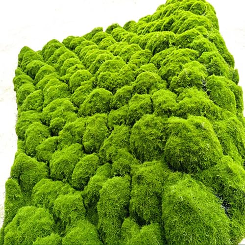 Artificial Moss Turf, 1x1m(3.2x3.2ft) DIY Simulation Artificial Moss for Patio, Balcony, Deck, Yard, Art Wall, Florist Decor - color: Green2