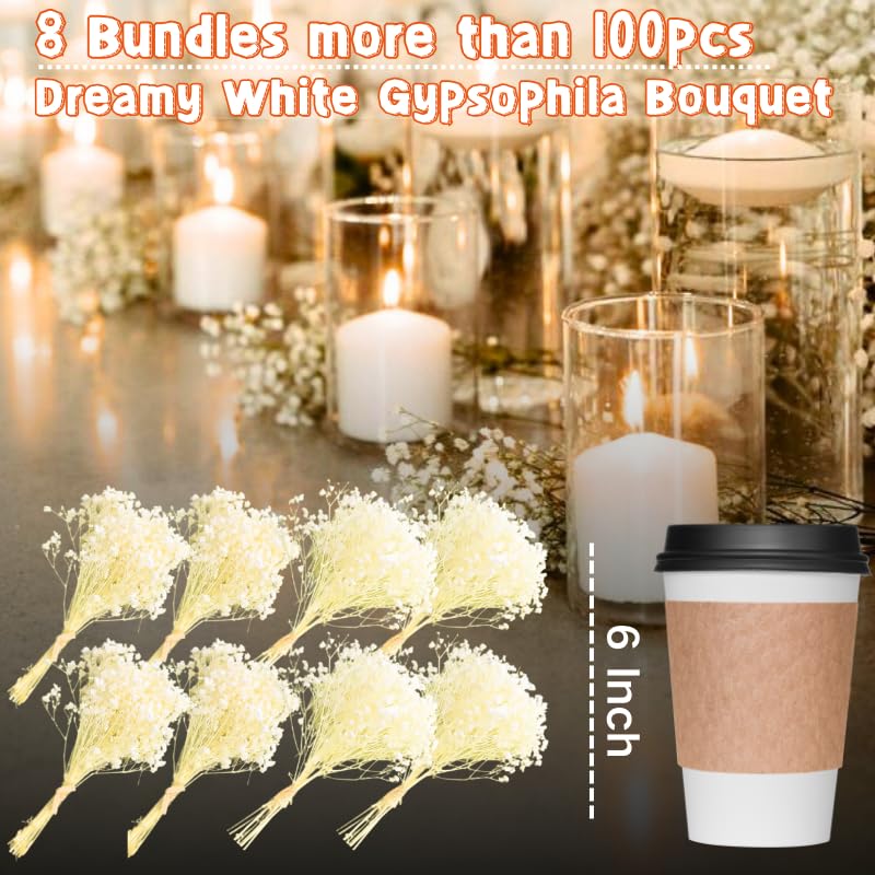6200+ Ivory White Dried Baby's Breath Flowers - 100% Real Natural Gypsophila Mini Bouquet Bulk for Wedding Floral Arrangement Boho Home Decor, DIY Crafts,Candle Making, Birthday Party Decorations