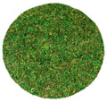 SuperMoss (26310) Moss Soil Toppers (Place Mats), Fresh Green, 10" (3 units) - color: Fresh Green, size: 10" (3 units)