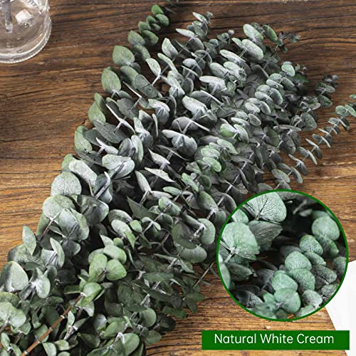 Tavkite 16 Pcs Dried Eucalyptus Stems, 17'' Natural Fresh Eucalyptus Leaves Branches Hanging for Shower, Preserved Real Plant Live Greenery for Home SPA Wall Bathroom Wedding Party Vase Decor - color: Green