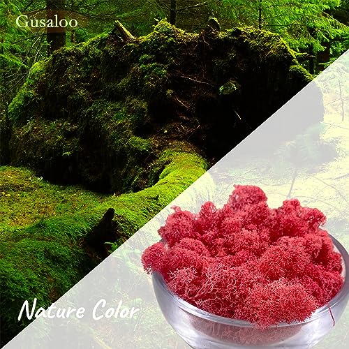 Moss Preserved Moss for Potted Plants Natural Fresh Green Reindeer Moss for Craft Arts Floral Wall Decor Decor Wedding Centerpieces Garden Artificial Terrariums Decoration for Christmas-Purple Red - color: Purplered, size: 3.5oz