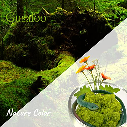 Moss Preserved Artificial Moss for Potted Plants Natural Fresh Green Moss for Craft Arts Project Wall Decor Table Fake Moss Wedding Centerpieces Garden Terrariums Decoration Chartreuse 3.5OZ - color: Chartreuse, size: 3.5oz