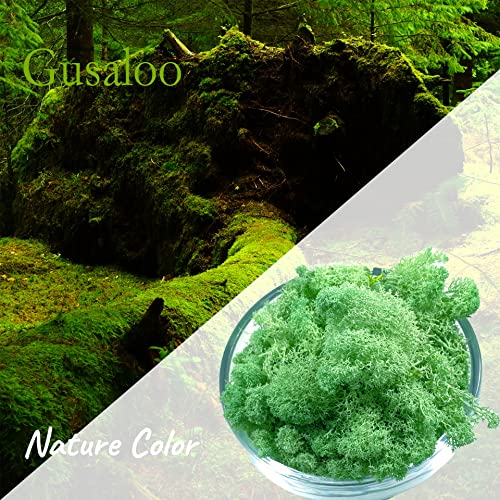 Moss Preserved Moss - Natural Fresh Green for Crafts, Arts, Floral Projects, Wall & Table Decor, Wedding Centerpieces, Garden, Artificial Terrariums - Mint-Green 3.5OZ - color: Mint-green, size: 3.5oz