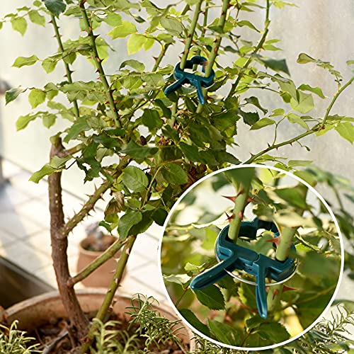 PERSZEN Plant Support Clips, 80 PCS Gentle Flower Plant Clamps for Supporting Vine Climbing Plants, Gardening Lever Loop Gripper Clips Help Stems Vines Grow Straight Upright, 2 Sizes in one Pack - size: 80