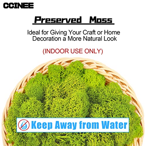 CCINEE Moss Preserved, 4 OZ Fake Green Reindeer Moss for Potted Plants for Craft Arts Floral Wall Decor Wedding Centerpieces Fairy Garden Artificial Terrariums Decoration for Christmas(Chartreuse) - color: Chartreuse