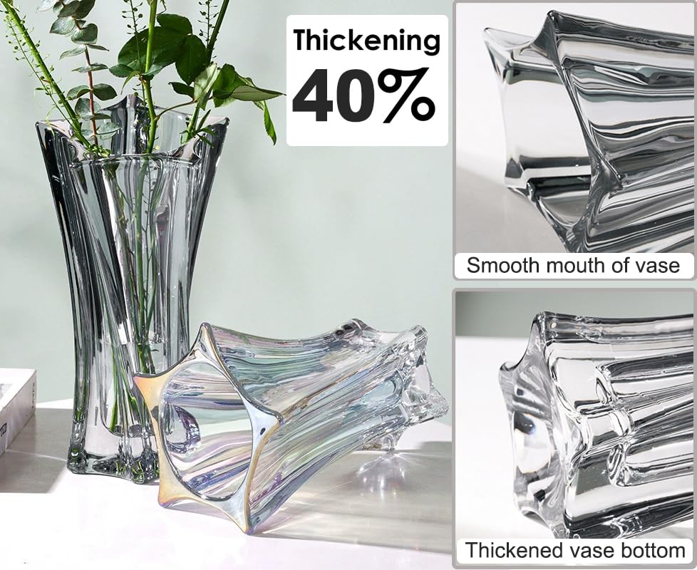 Crystal Glass Vase – Heavy Crystal Vase for Flowers with Weighted Bottom, Thick Durable Decorative Vases for Modern Home Decor, 9.8″ 3.5lb Clear Centerpiece (Clear X 2) - color: Clear X 2