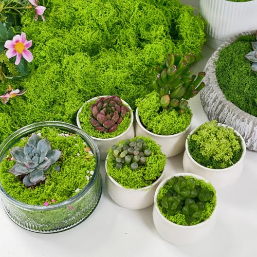 Fake Moss Decor Potted Plants, 5.3OZ Light Green Artificial Moss for Crafts Faux Moss for DIY Crafts Model, Table Centerpieces, Plants Art Landscape, Gardening Decor, Fairy Garden-150g - color: Light Green, size: 5.3oz