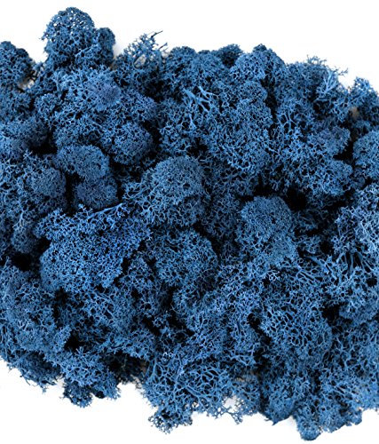 SuperMoss 25128 Moss, 80.75 Cubic inch (in3) Bag (Appx. 2oz), Royal Blue - color: Royal Blue, size: 80.75 cubic inch (in3) Bag (Appx. 2oz)