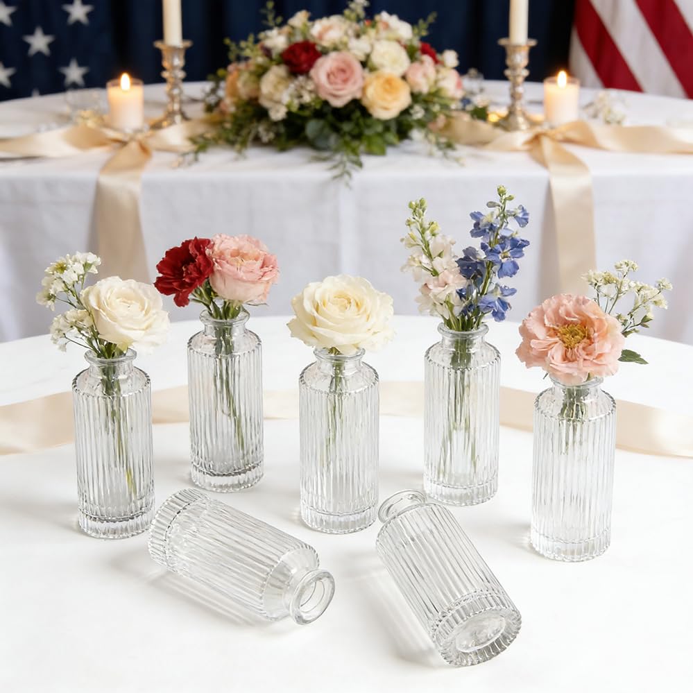 6 Pack Glass Bud Vase Set, Small Flower Vase Set Bud Vases for Wedding Centerpiece Table Decor, Vintage Small Vases for Room Home Dining Party Table Center Decor (Clear Set, 6 Pack) - color: Clear Set, size: 6 Pack