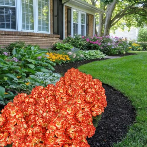 CISDUEO 4 Pcs Artificial Geranium Flowers for Outdoors Silk Flowers Outside Orange Flowers Bush Faux Geraniums for Planters Outdoor Decor Indoor Garden Patio Grave Cemetary Table Centerpiece - color: Orange